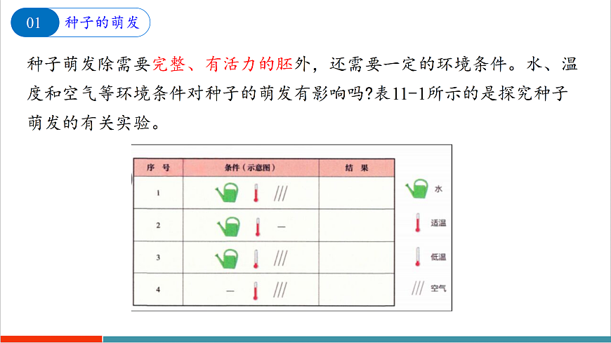 11.1 种子的萌发（第2课时）第6页