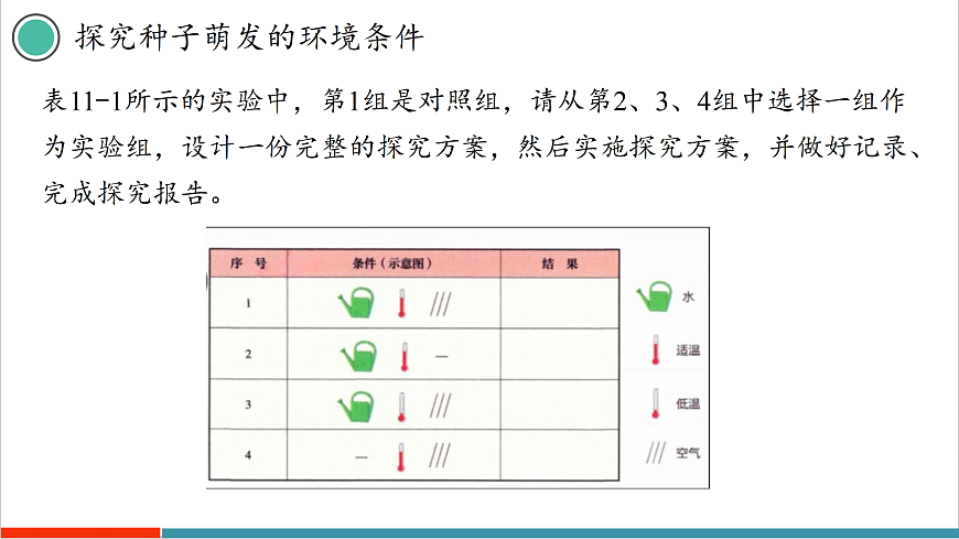 11.1 种子的萌发（第2课时）第8页