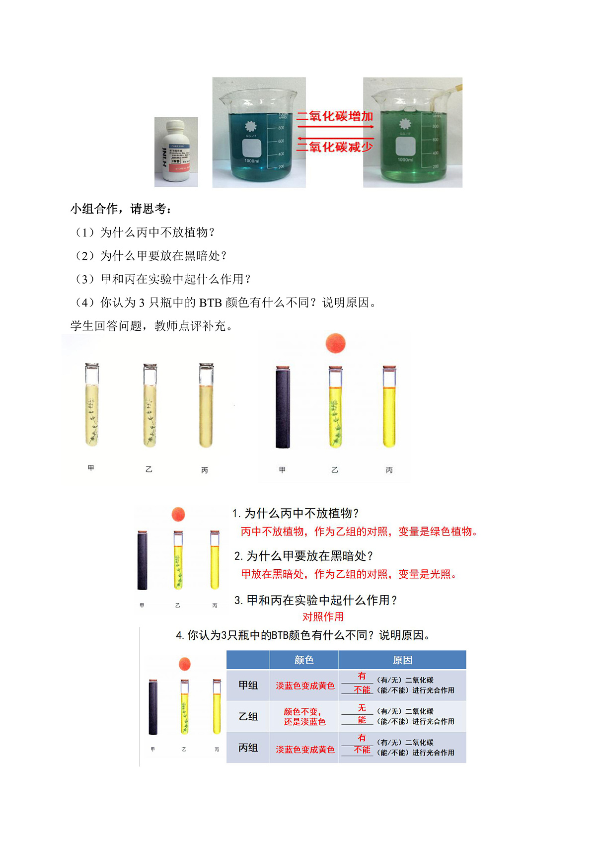 12.2 植物维持生物圈中的碳氧平衡（第1课时）（教学设计）第3页