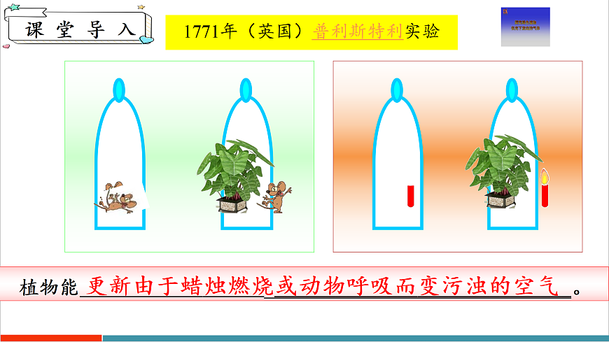 12.2 植物维持生物圈中的碳氧平衡（第1课时）第4页