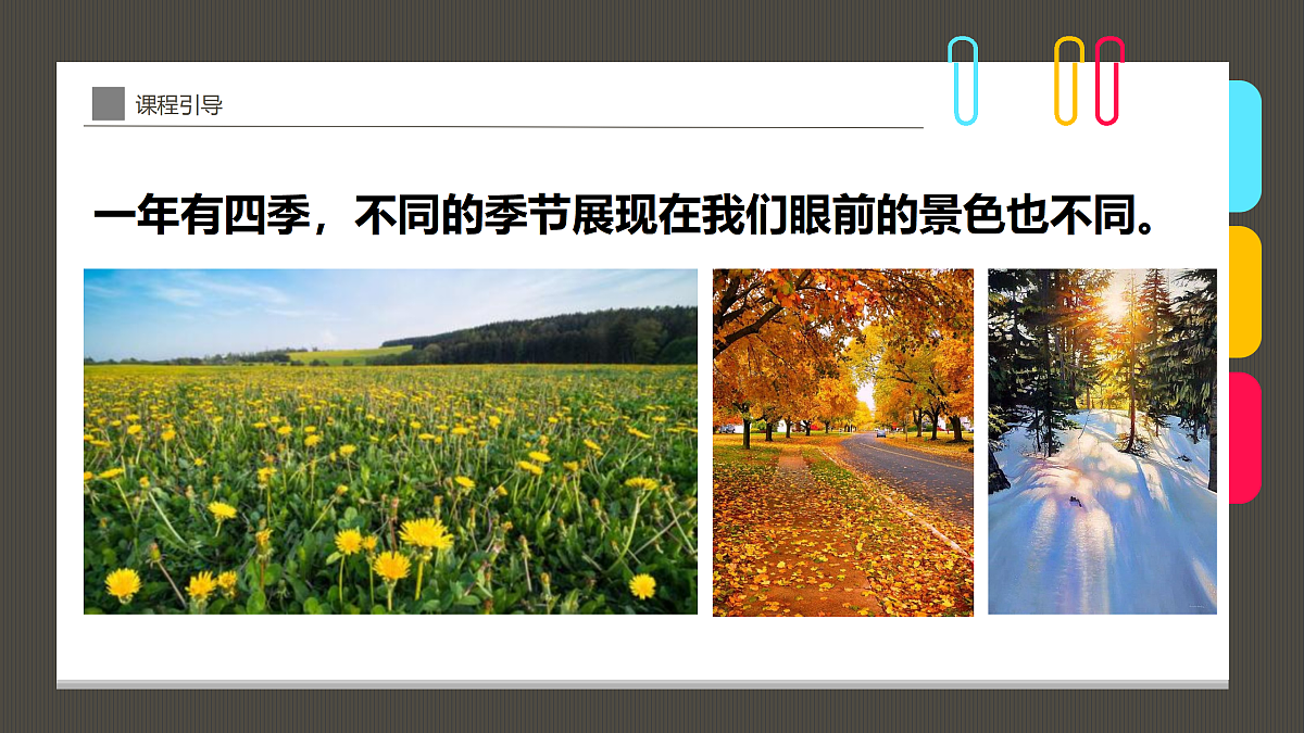 17487803第7页