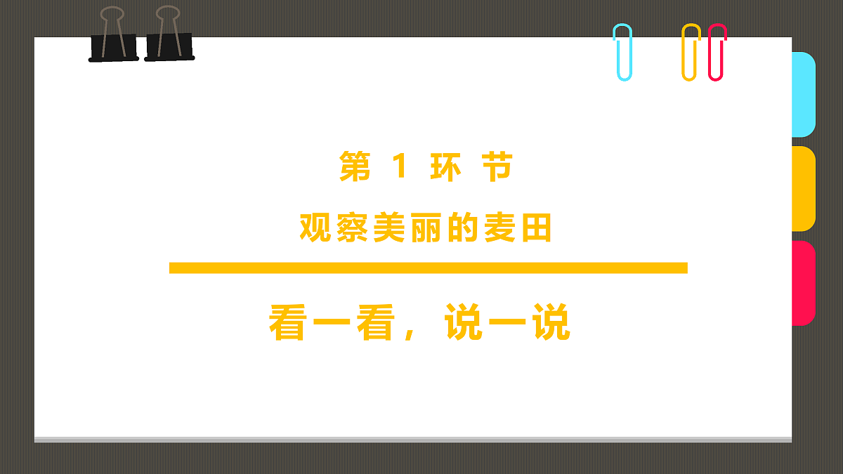 17487810第3页