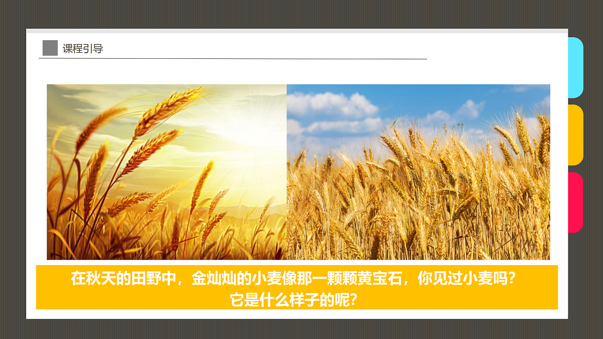 17487810第4页