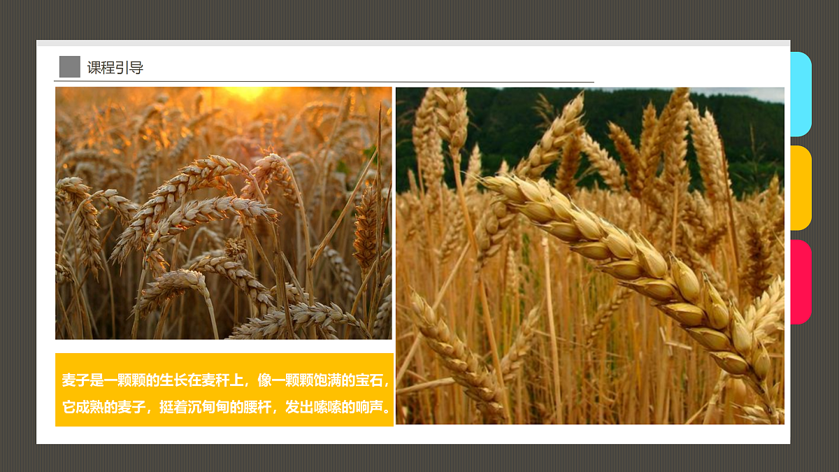 17487810第7页