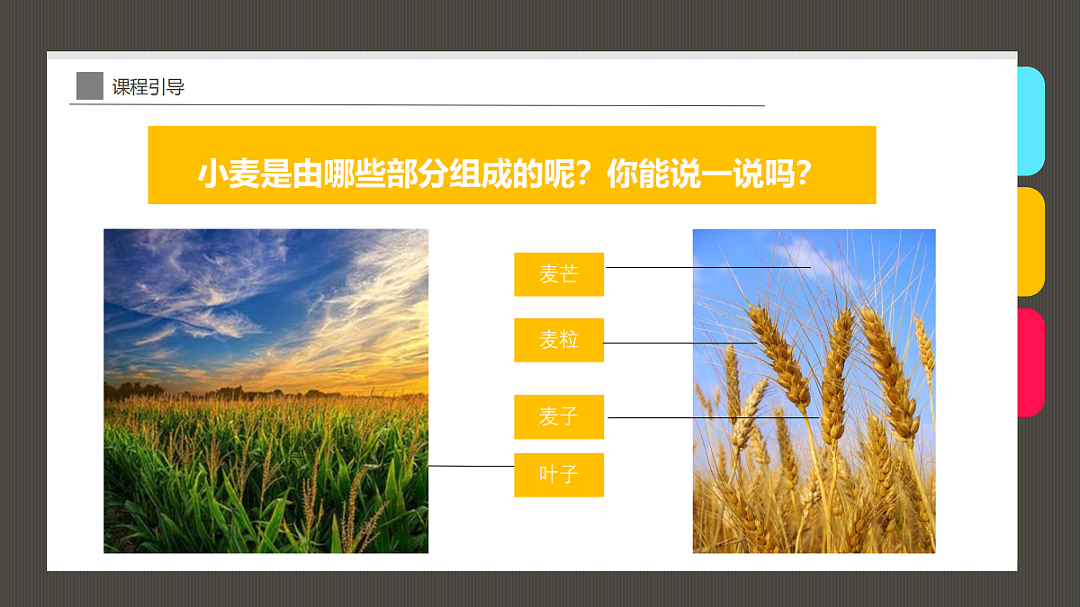 17487810第8页