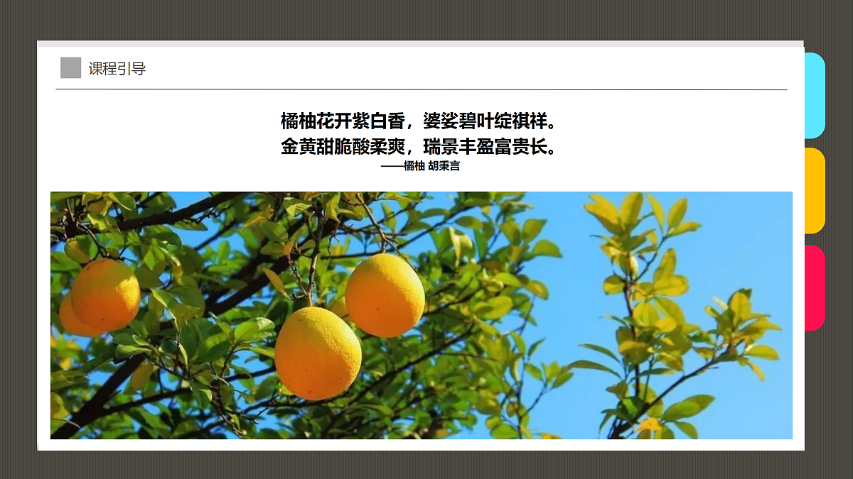 17487811第4页