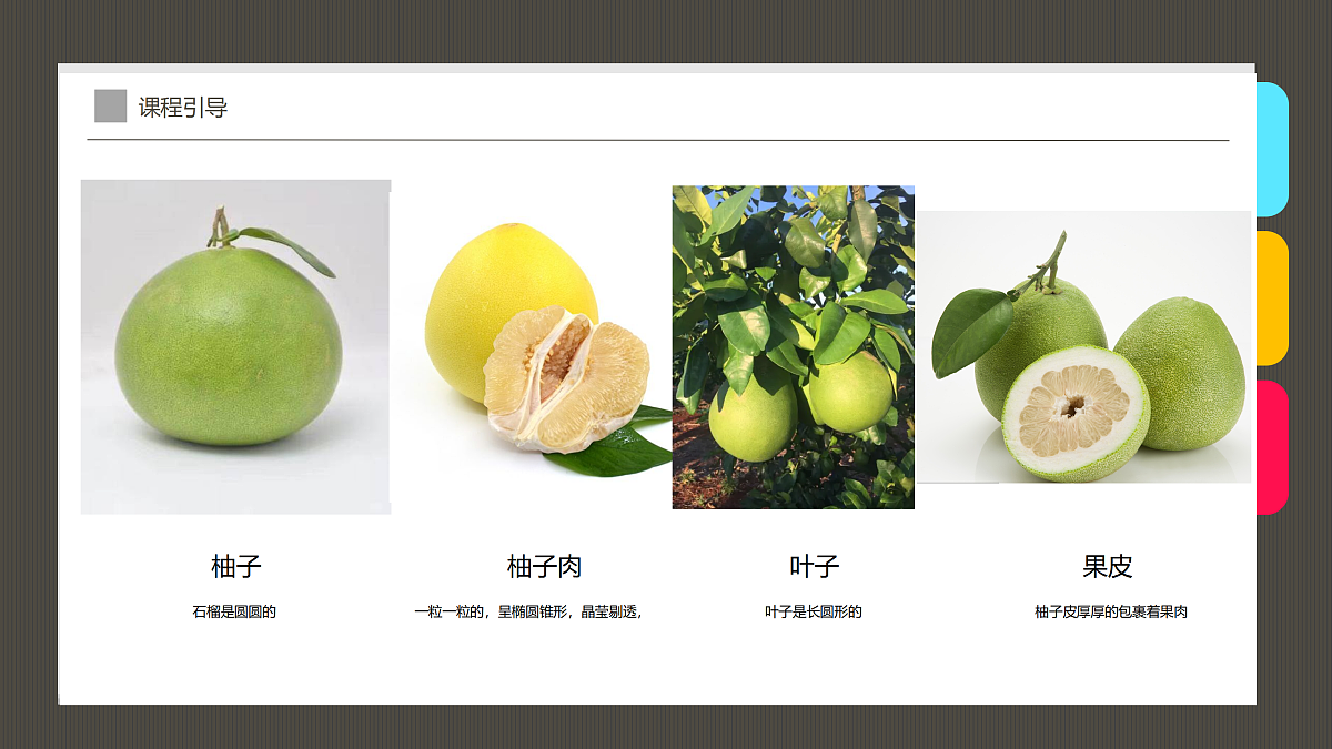17487811第7页
