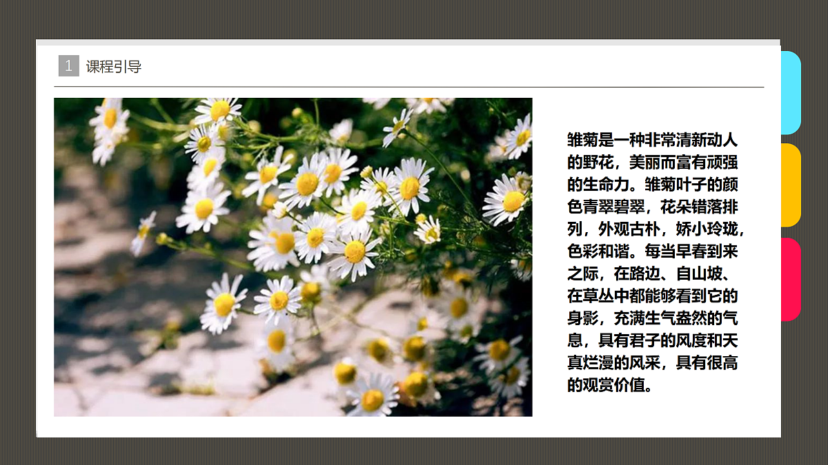 17487813第4页