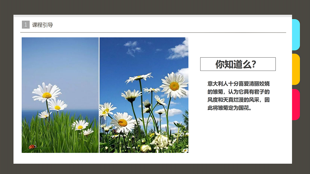 17487813第8页