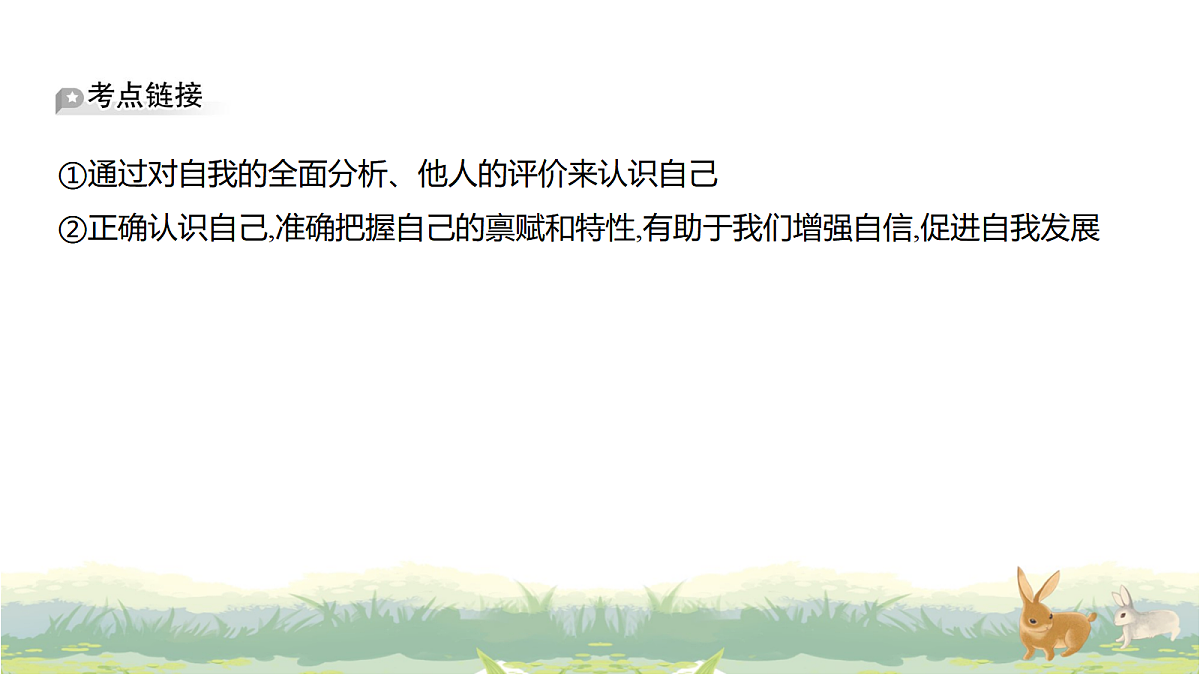 17488217第7页