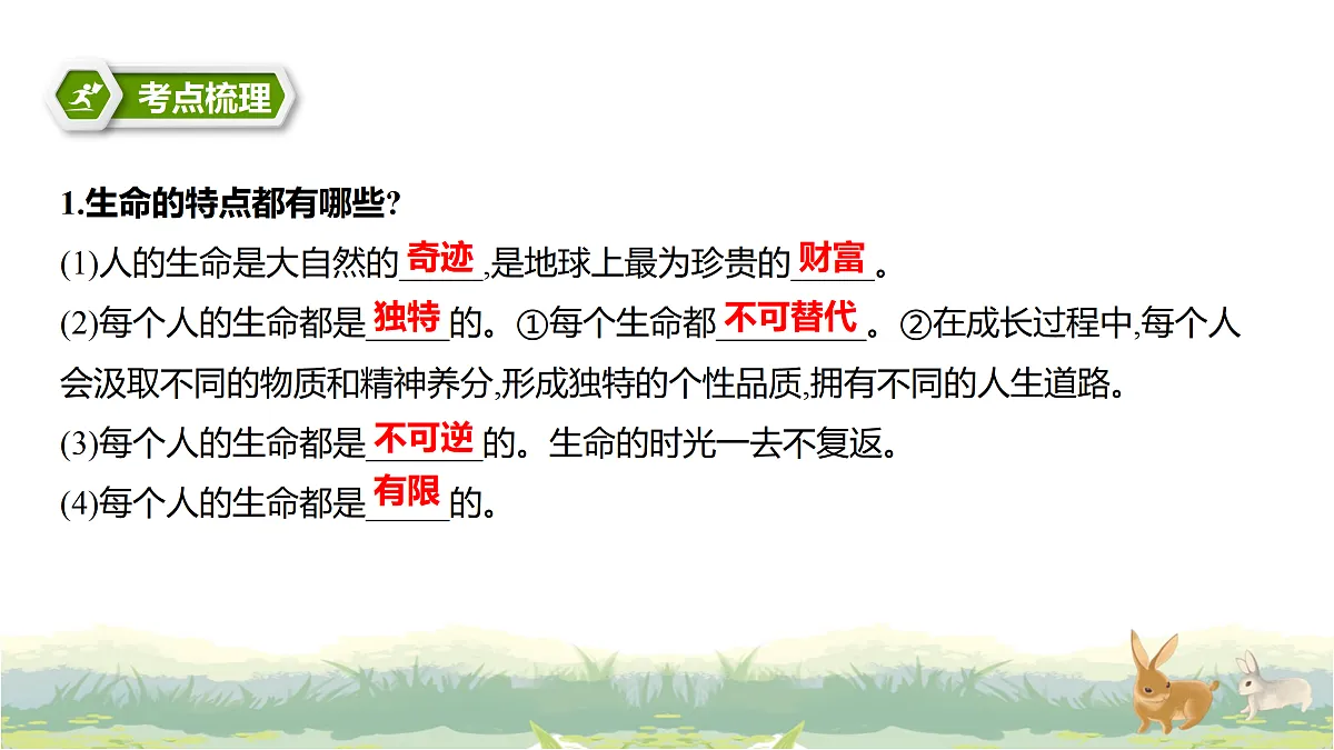 17488223第2页