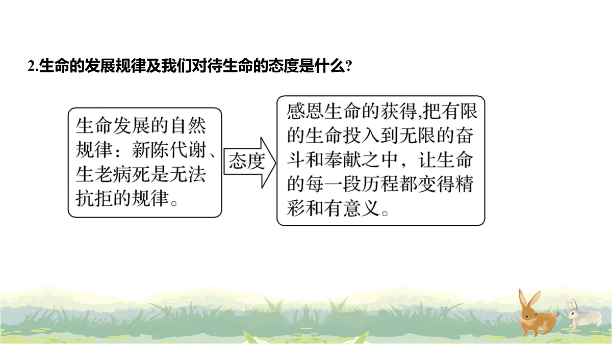 17488223第3页