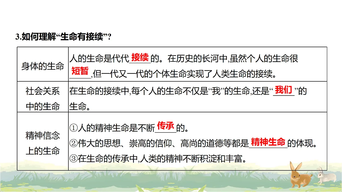 17488223第4页