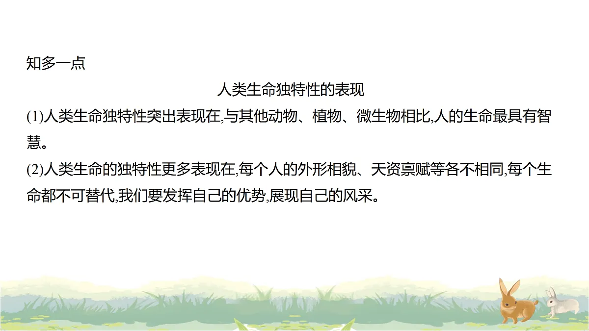 17488223第5页