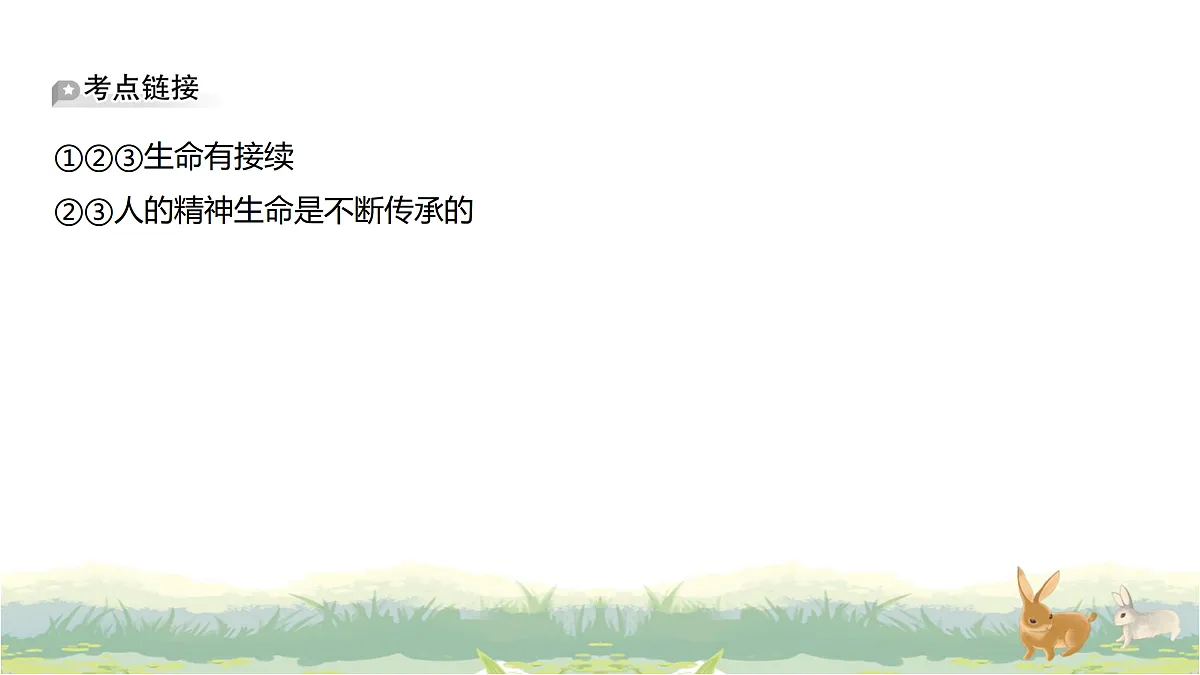 17488223第8页