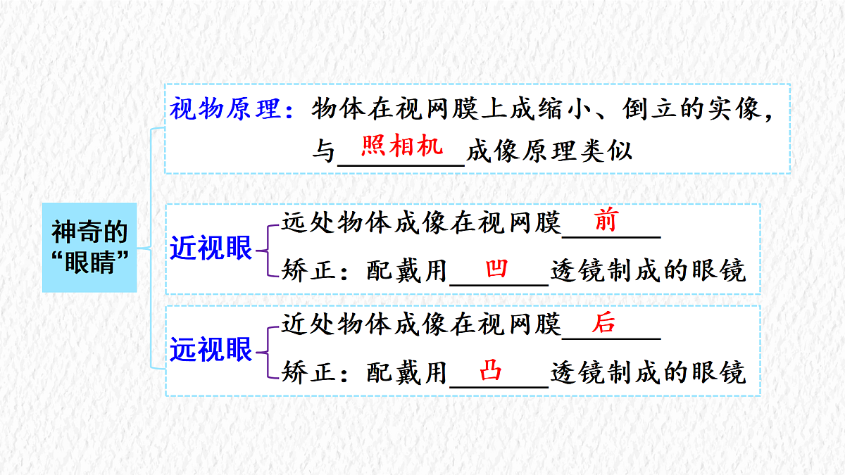 17488304第4页