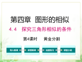 4.4 第4课时 黄金分割 北师大版数学九年级上册教学课件