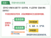 5.1.1 生物与环境的相互作用-2025-2026学年人教版2024新教材生物八年级上册同步教学课件