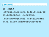 第五单元第一章综合实践项目-设计并制作生态瓶2025-2026学年人教版八年级生物上册课件