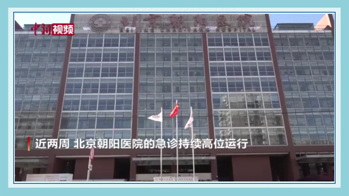 17491599第8页