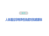 4.2+人体通过非特异性免疫对抗病原体课件-2025-2026学年高二上学期生物浙科版选择性必修1