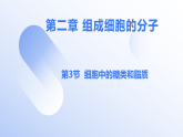 第二章第三节细胞中糖类和脂质课件-2025-2026学年高一上学期生物人教版必修1