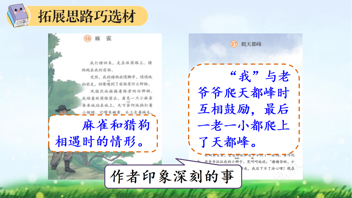17492599第8页
