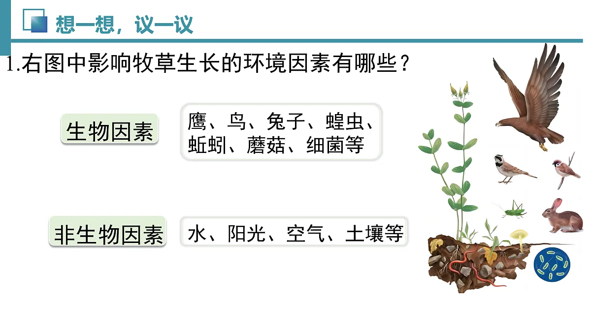 17492893第3页