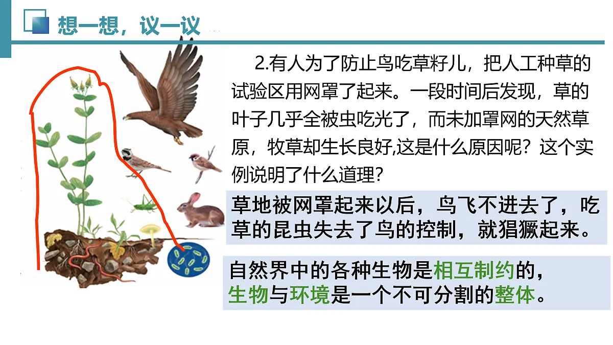 17492893第4页