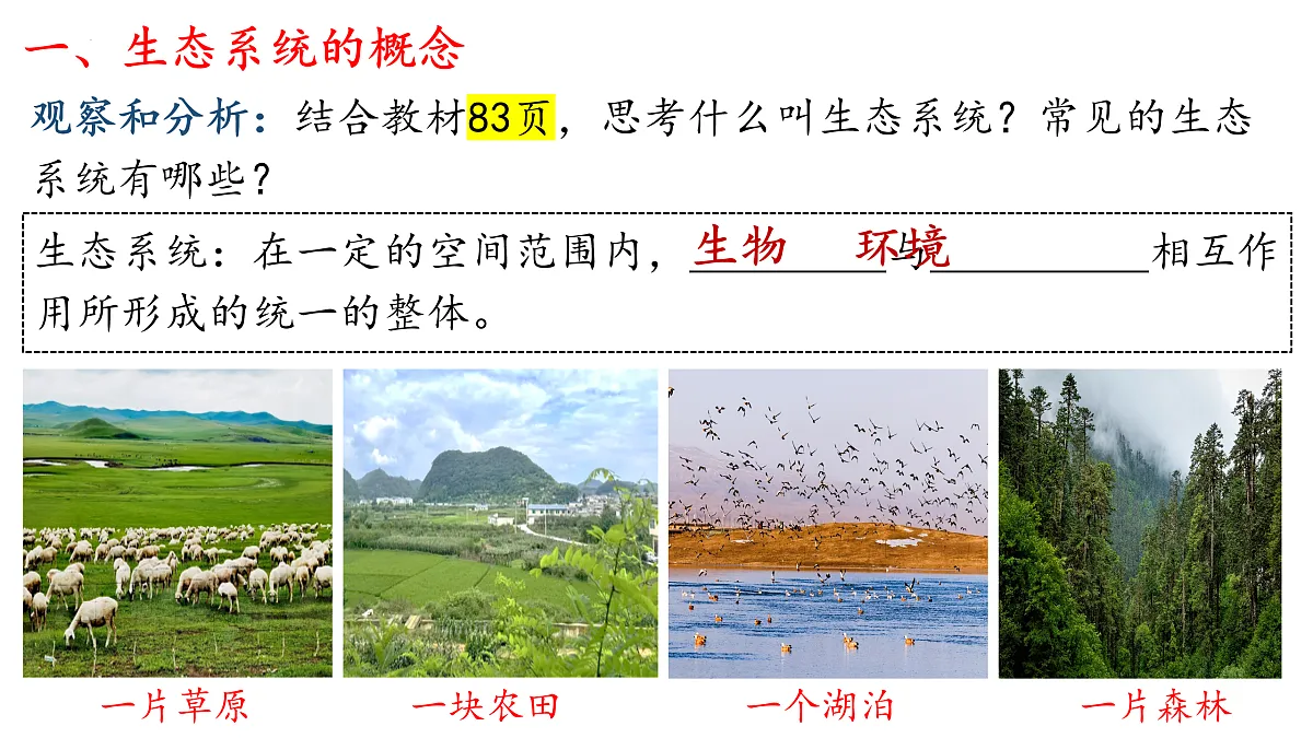 17492893第5页