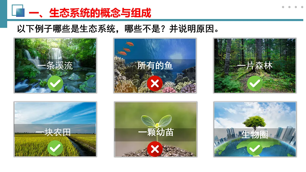 17492893第6页