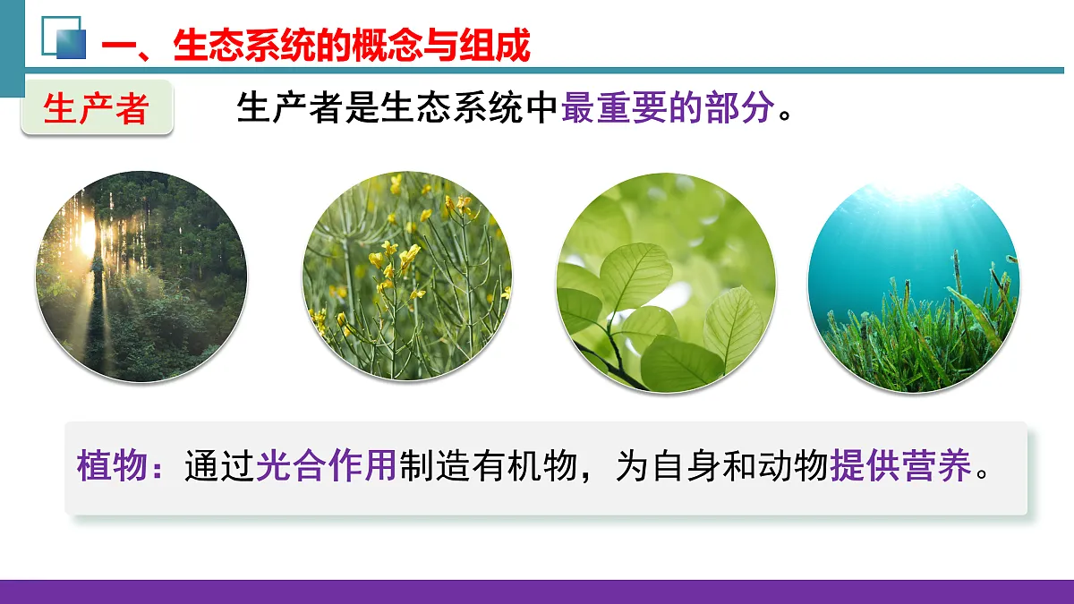 17492893第8页