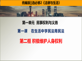 高中政治统编版选择性必修二 1.2 积极维护人身权利 课件