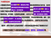 高中政治统编版选择性必修二 9.2 解析三大诉讼 课件