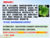 高中政治统编版选择性必修三 7.2 类比推理及其方法 课件