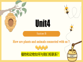 人教版八年级英语上册Unit4 SectionB 1a-2d课件