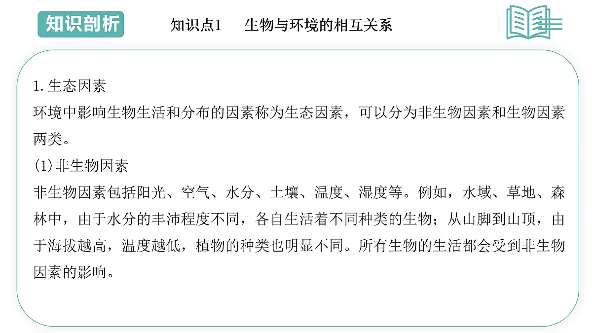 17493879第3页