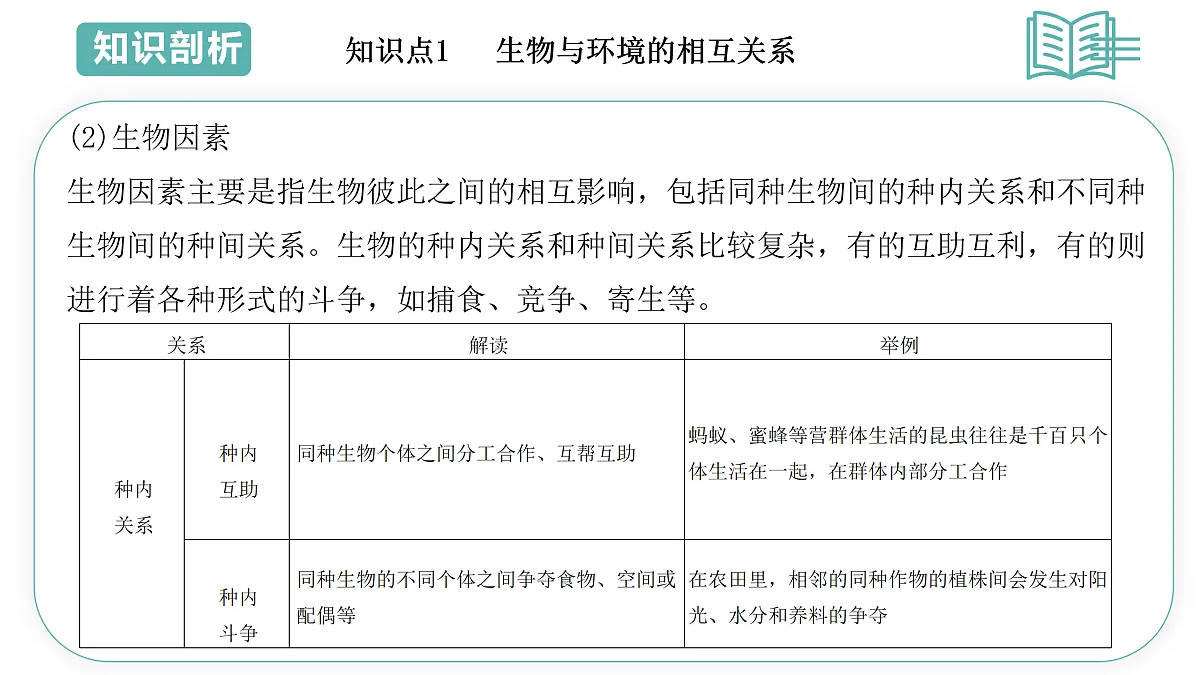 17493879第4页