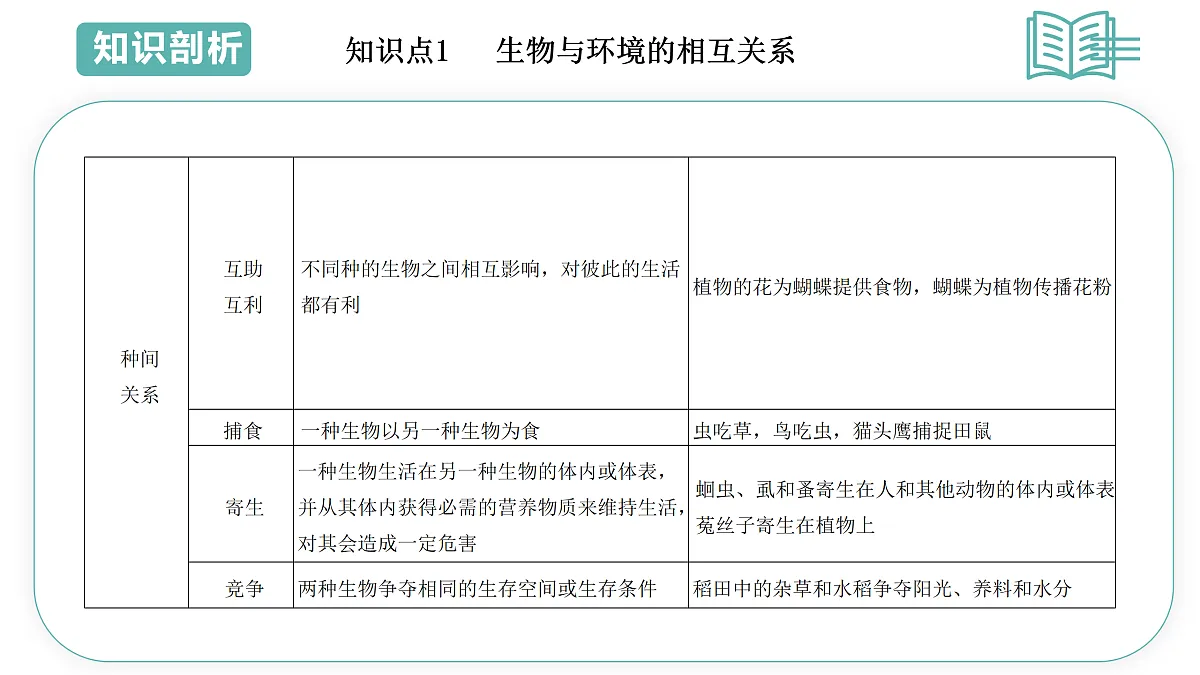 17493879第5页