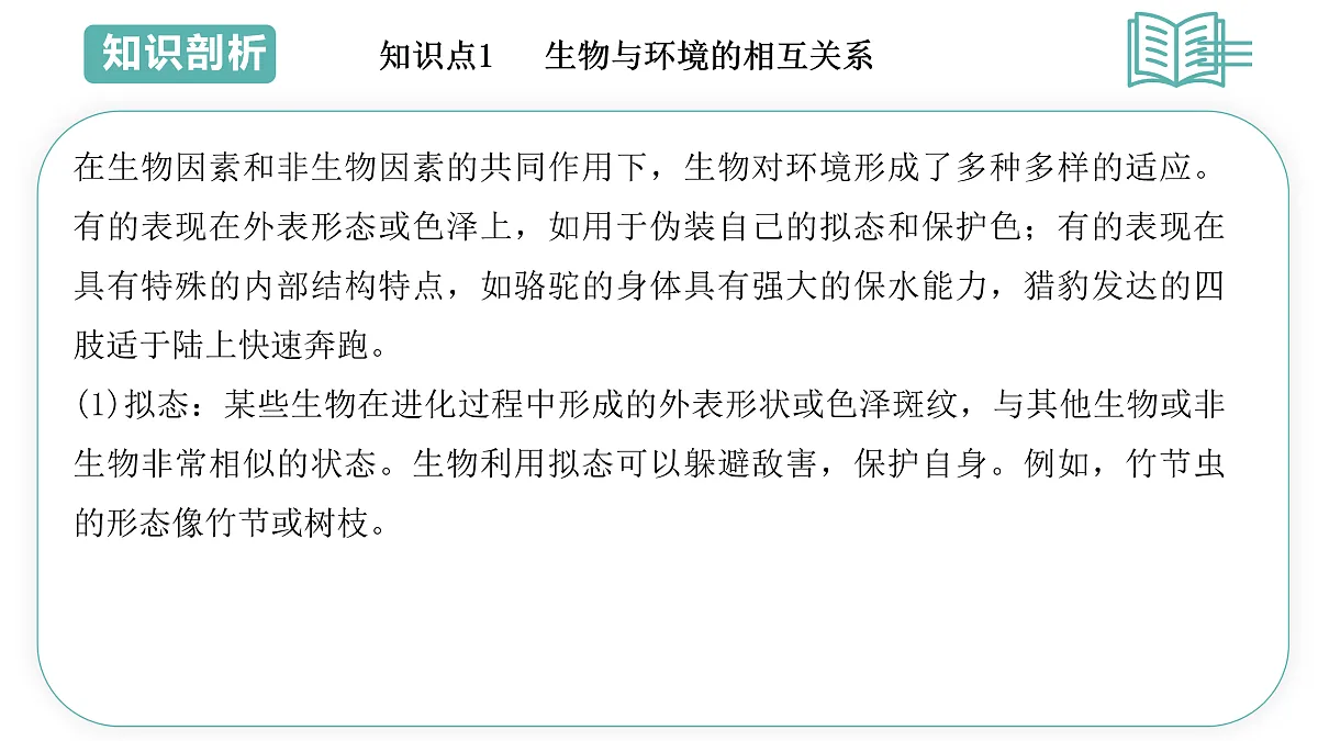 17493879第7页