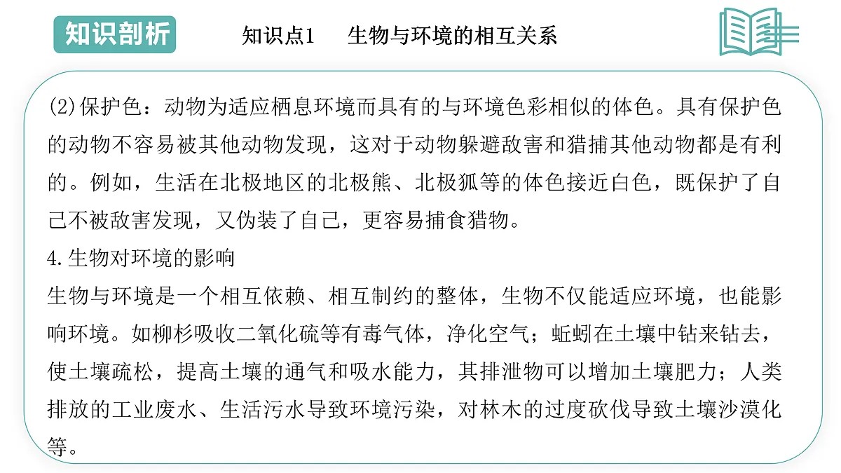 17493879第8页