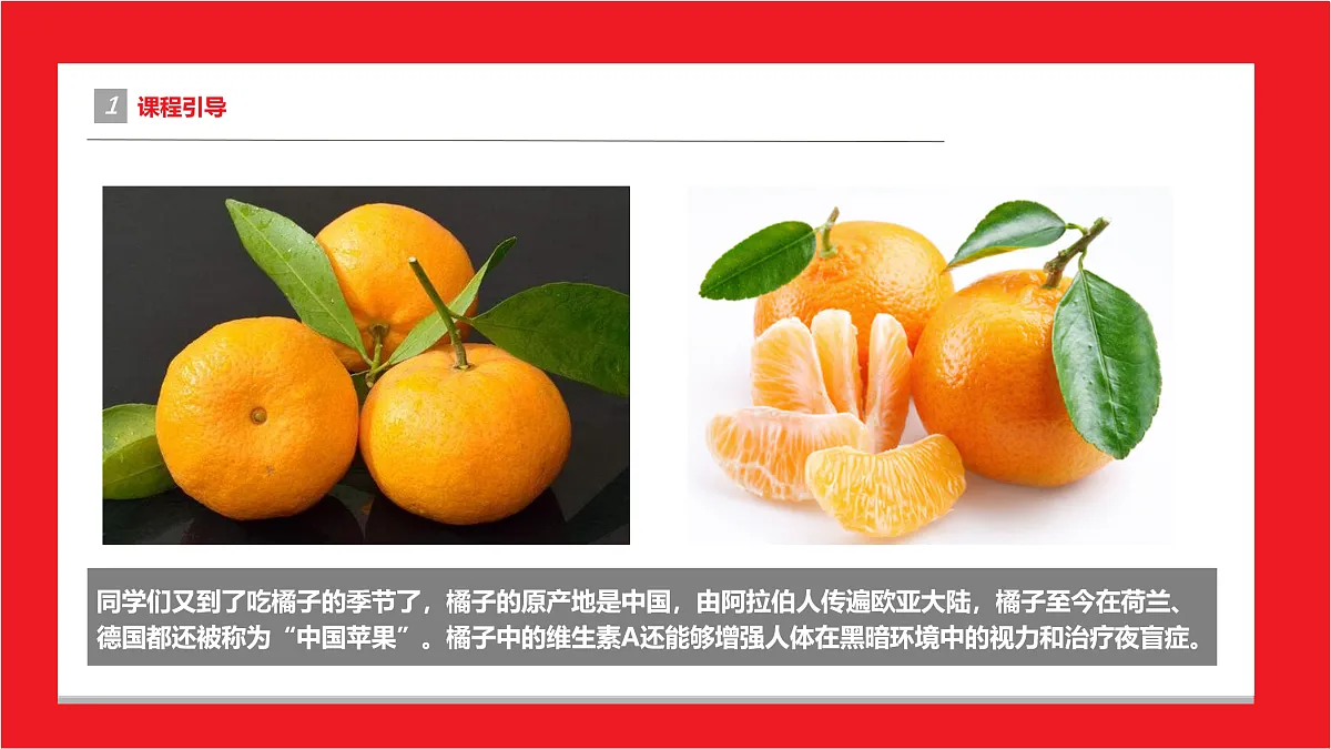 17494004第4页
