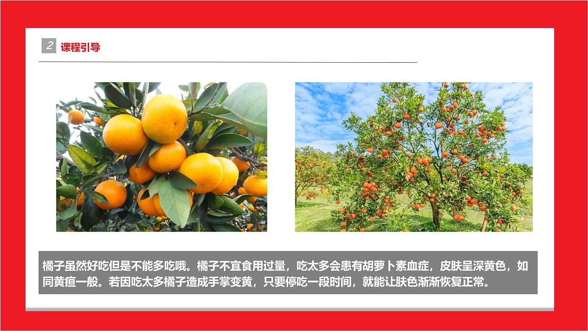 17494004第5页