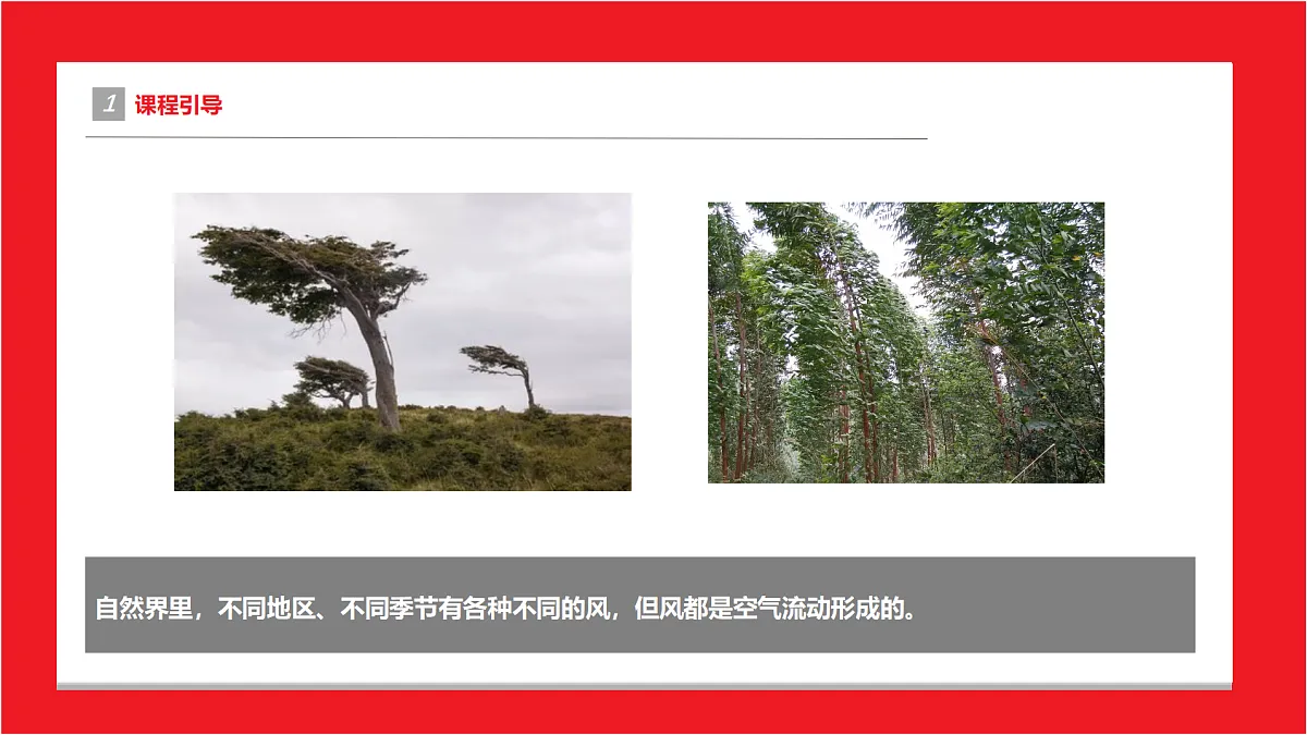 17494006第4页