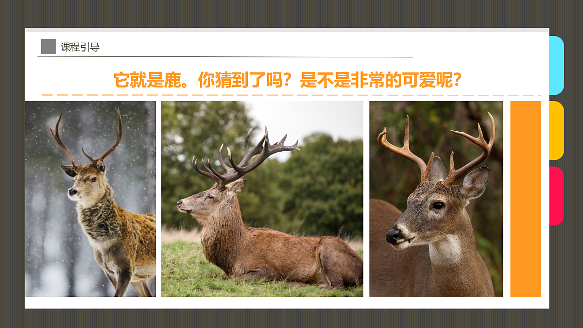 17494215第5页