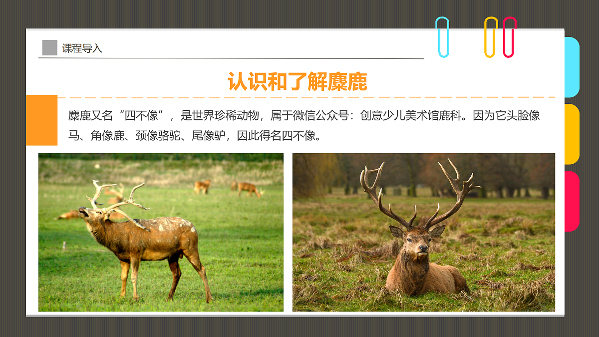 17494215第7页