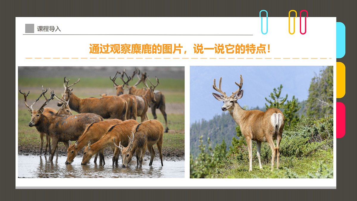 17494215第8页
