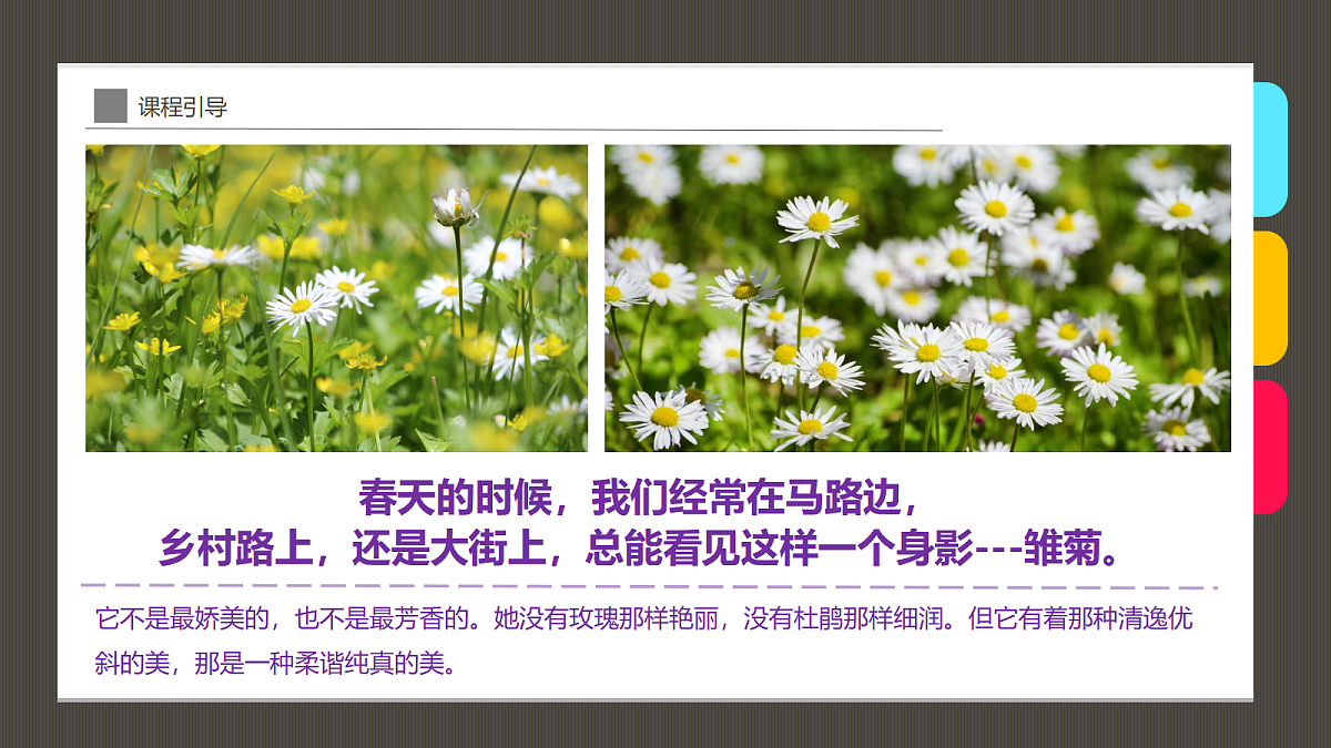17494216第4页