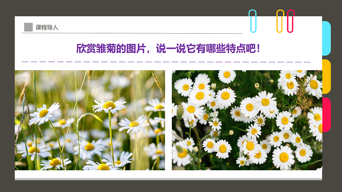 17494216第6页