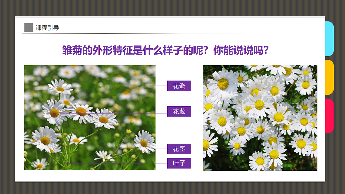 17494216第7页